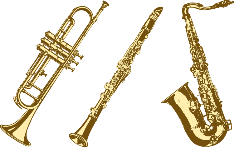 Open repetitie Senioren Orkest Hoeksche Waard