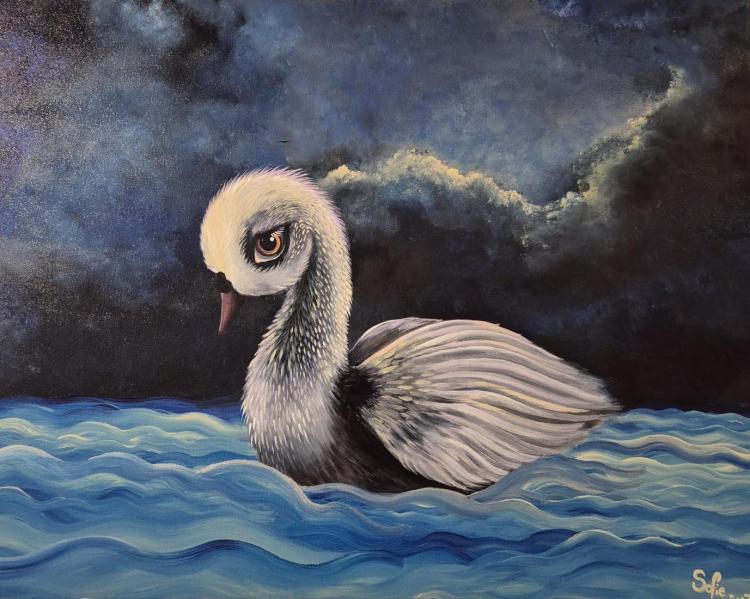 Expositie Sofie Rozendaal