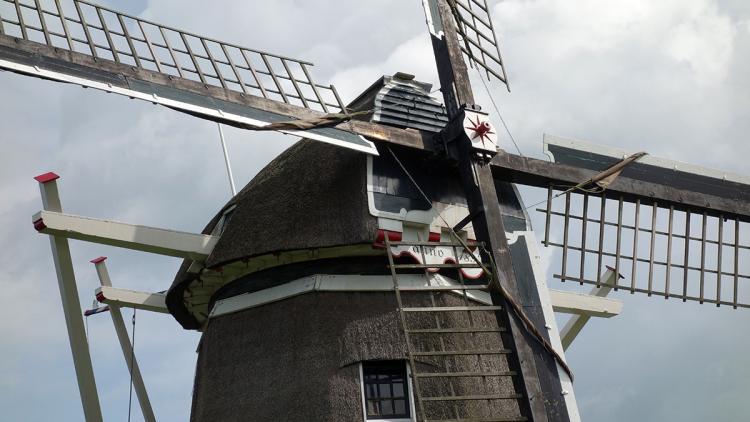 Voorleesfeest Leer alles over molens (2-10 jaar)