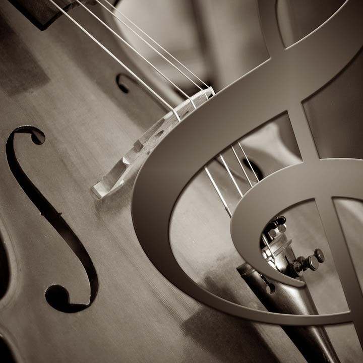 Muziek in het Oude Raadhuis